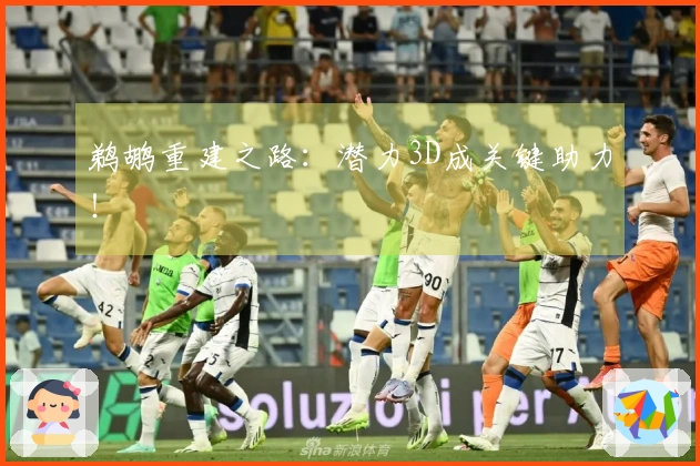 鹈鹕重建之路：潜力3D成关键助力！