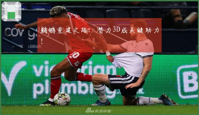 鹈鹕重建之路：潜力3D成关键助力！
